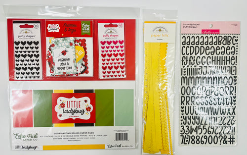 Echo Park Ladybug Mini Bundle